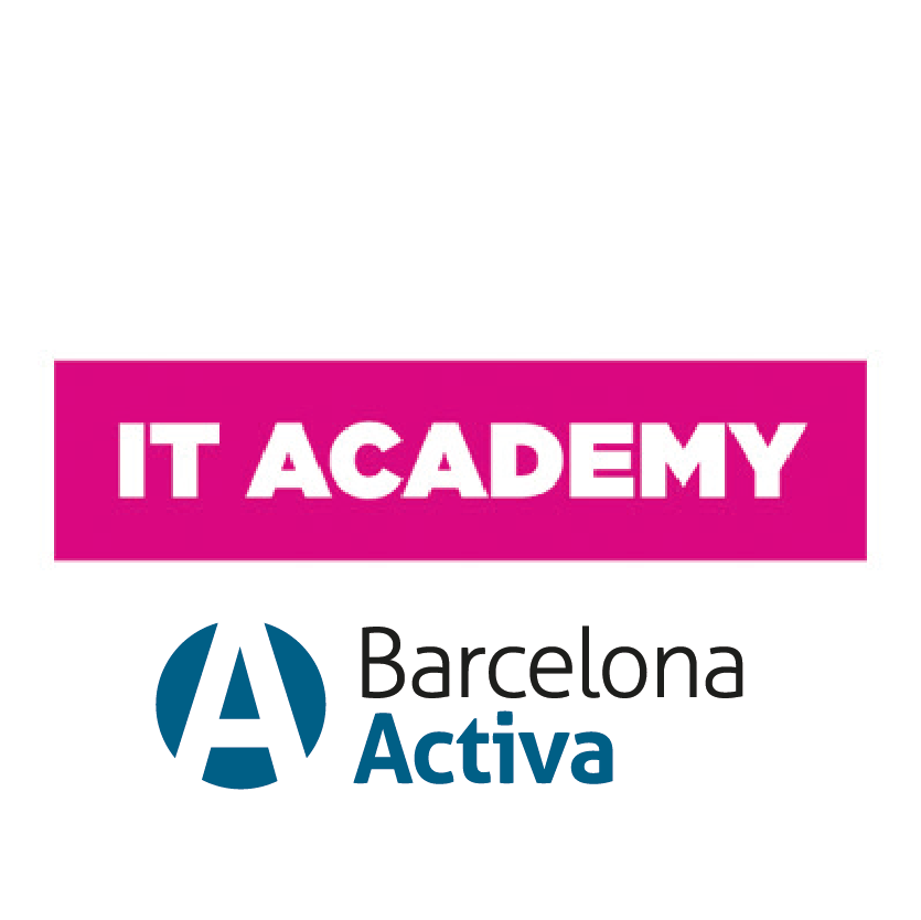 IT Academy